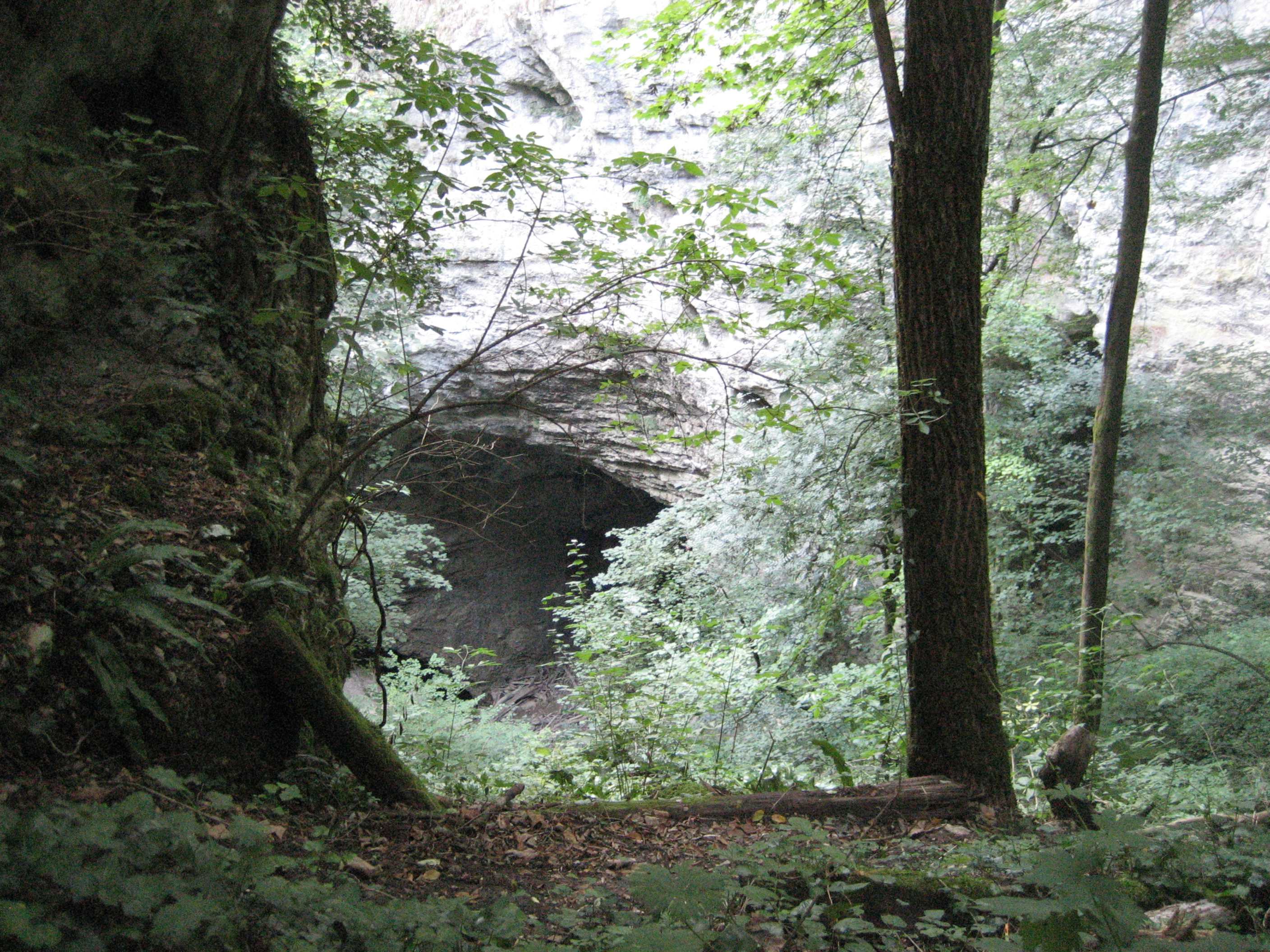 Abyss_of_Pazin,_Northwest_Croatia.JPG