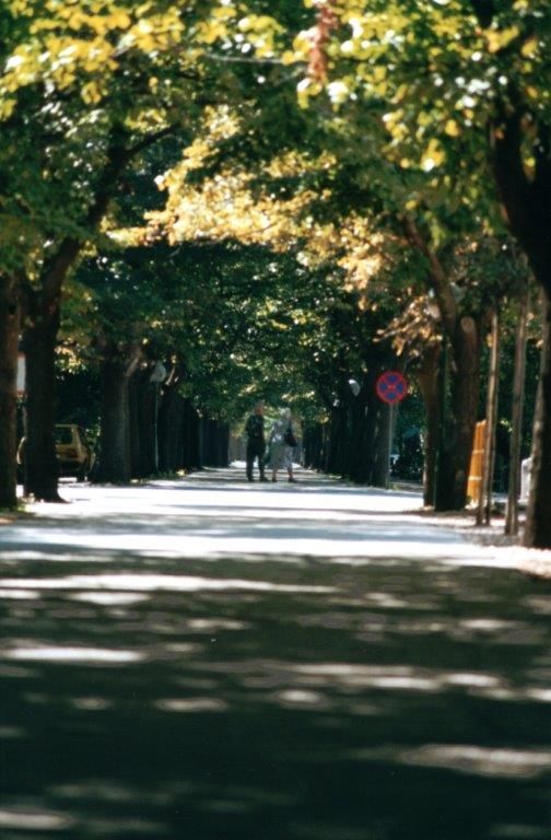 Blato_Korcula_2002.jpg