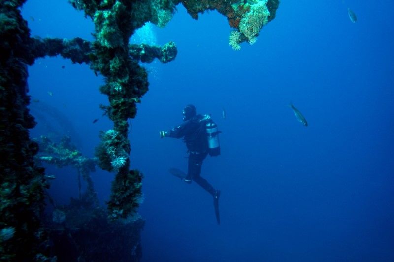 Dive and sail (800 x 532).jpg