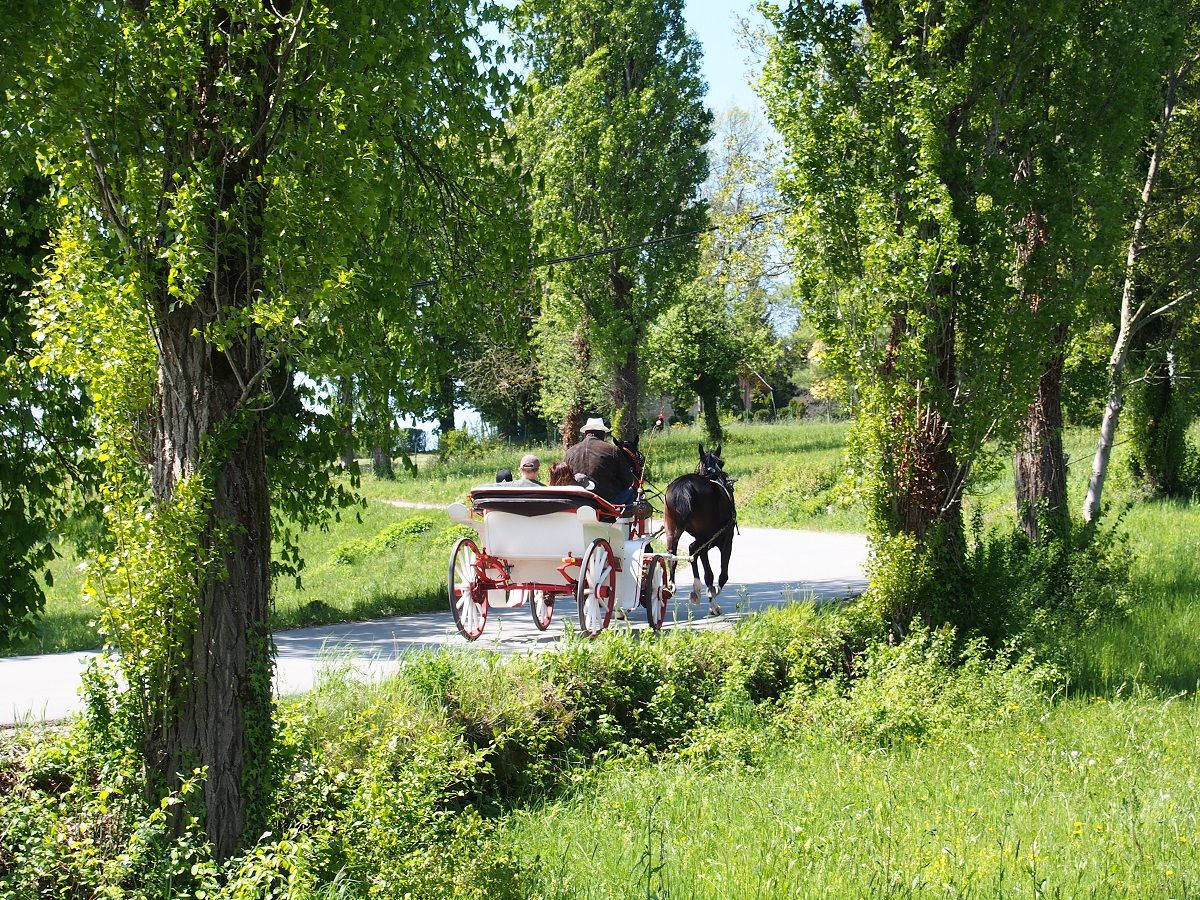 Fijaker Strudlafesta.JPG