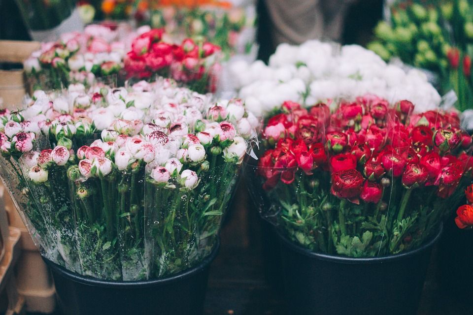 flora gruz flower market