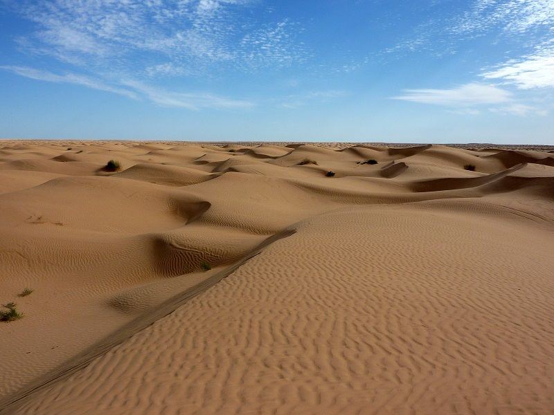 Sahara_3.jpg