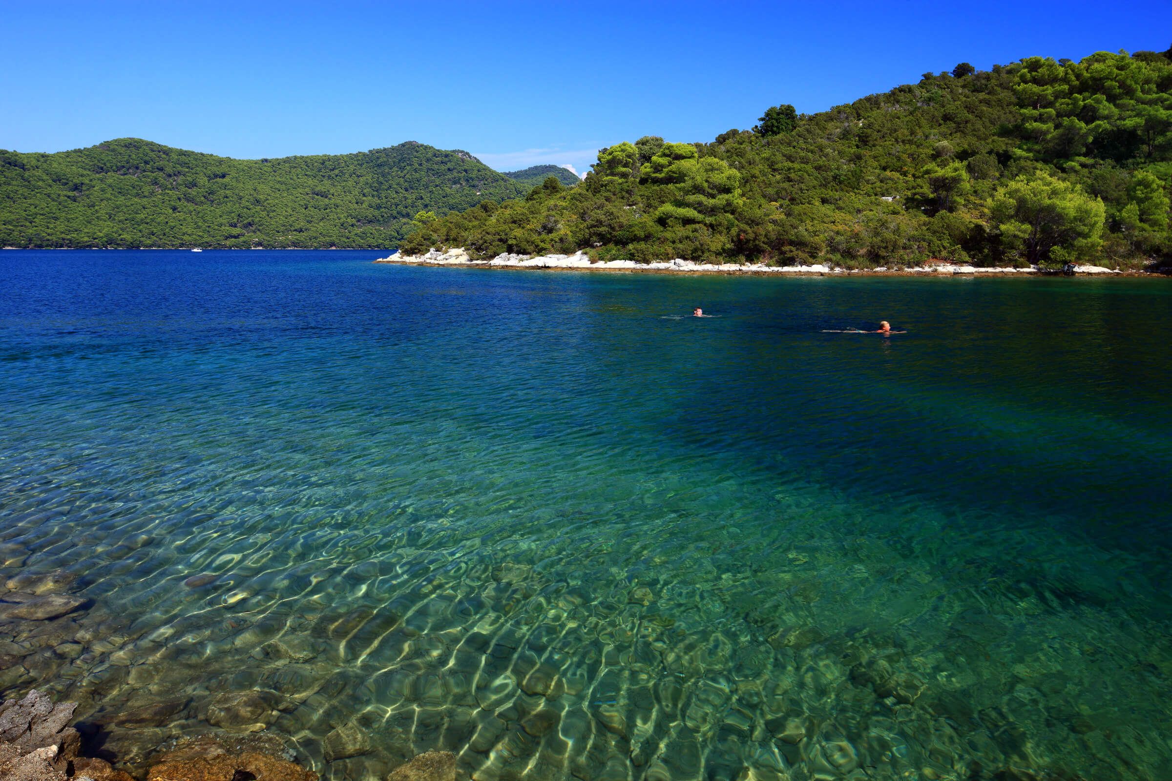 Sailing in Croatia, swim Mljet.jpg