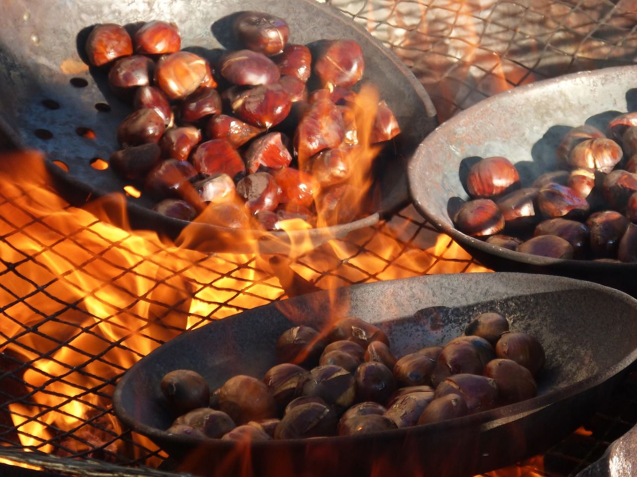 chestnuts-1783878_1280.jpg