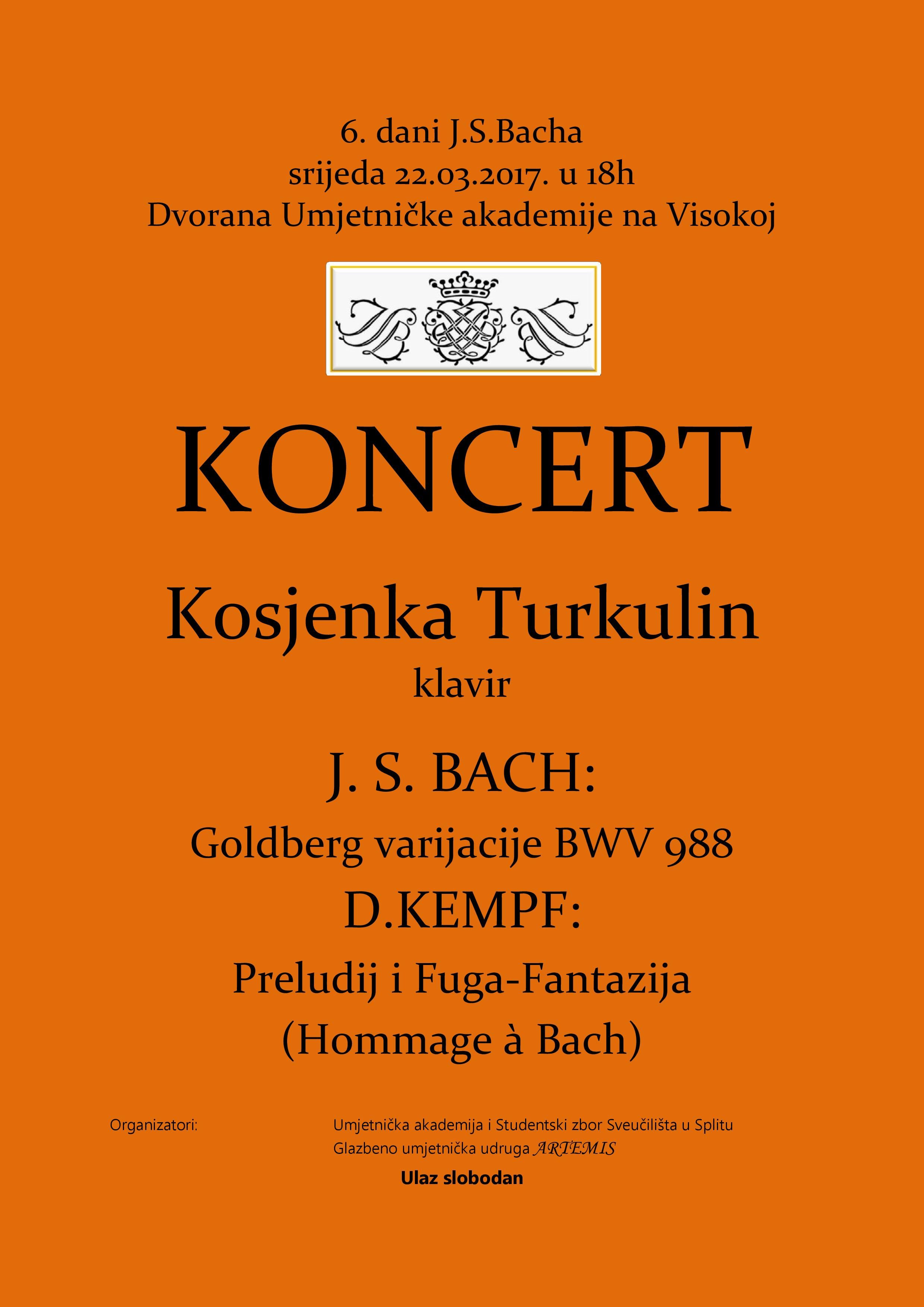 Plakat Turkulin page 001