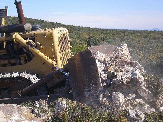 Clearing the Plancic vineyard on Hvar