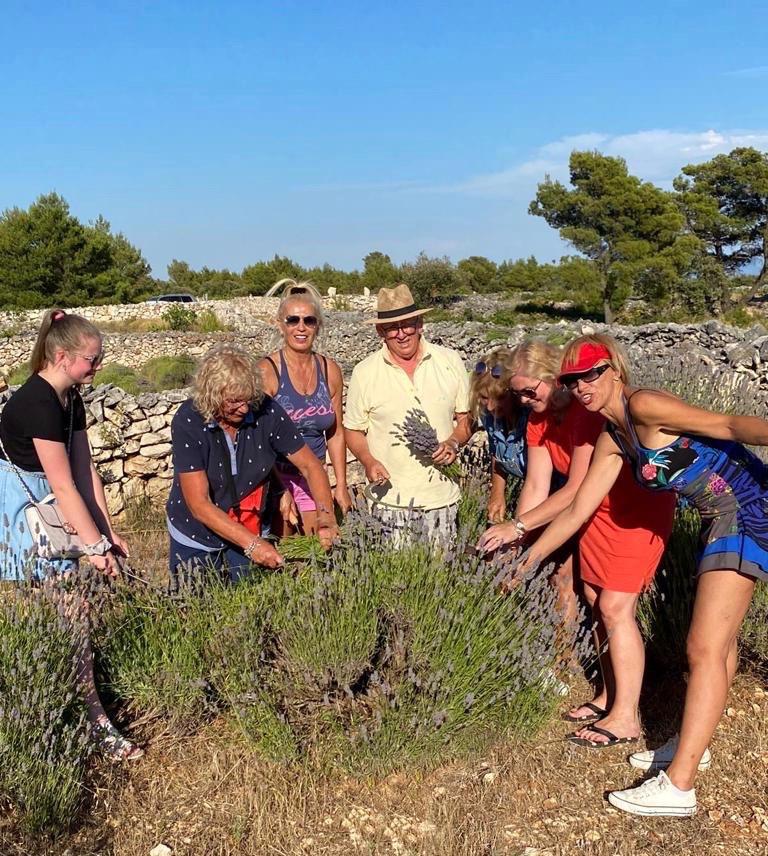 harvesting-lavender-jadran-lazic (2).jpg