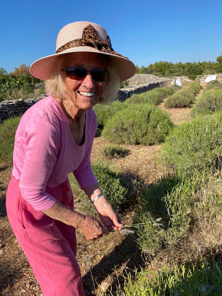 harvesting-lavender-jadran-lazic (4).jpg