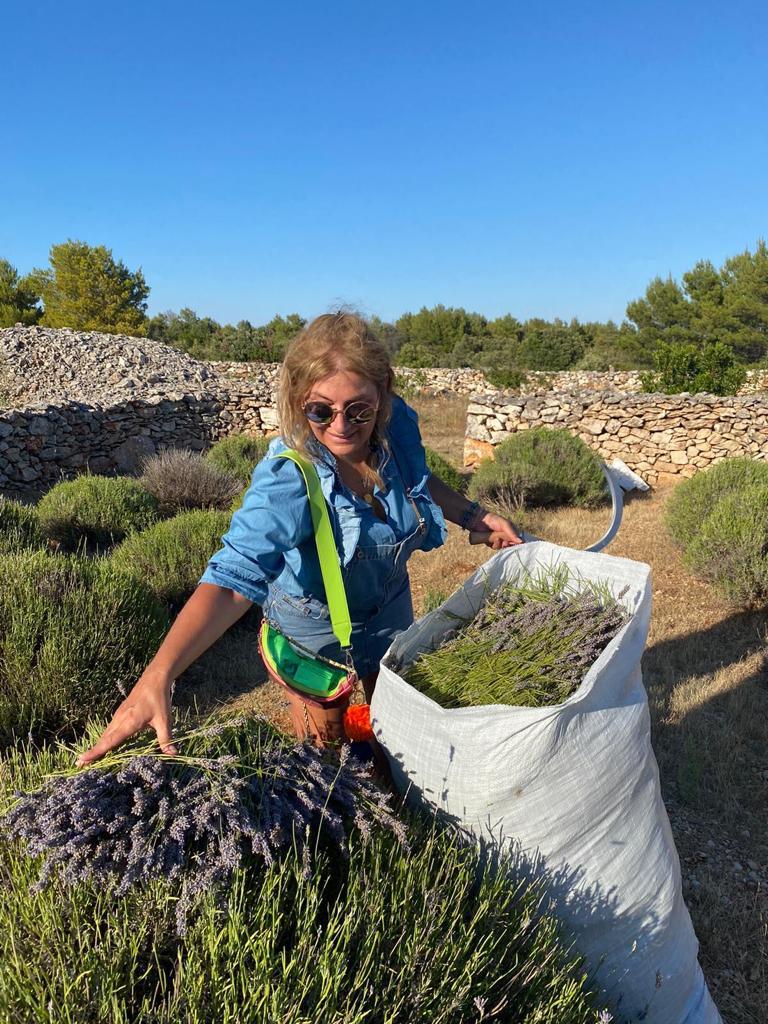 harvesting-lavender-jadran-lazic (6).jpg