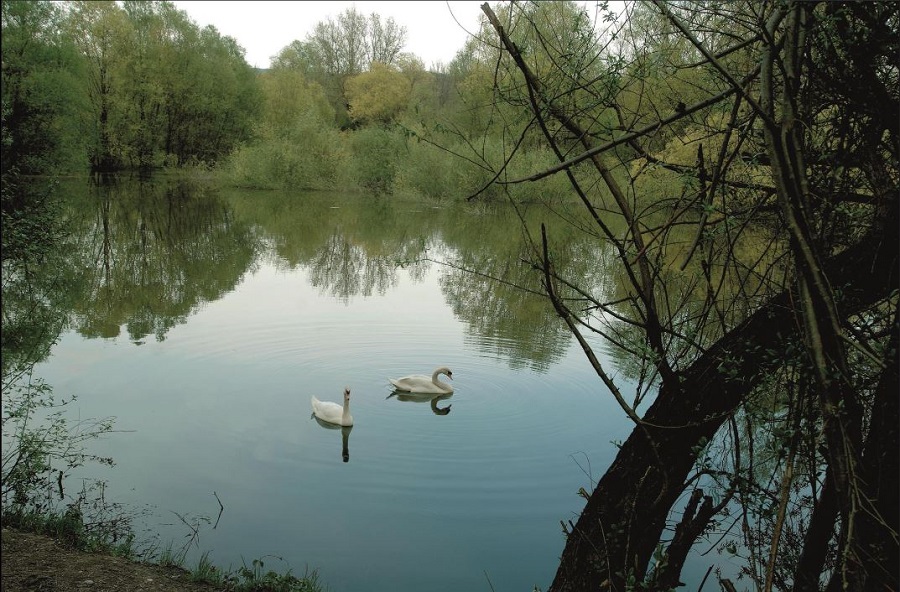 lake-stremec.JPG