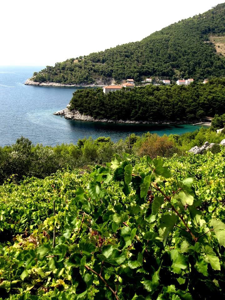 peljesac