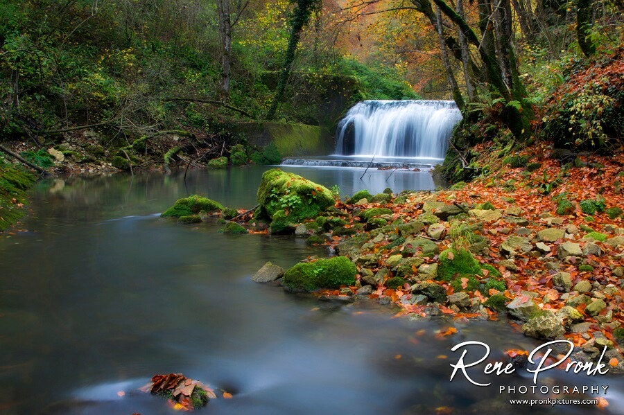 rene-pronk-slapnica.jpg