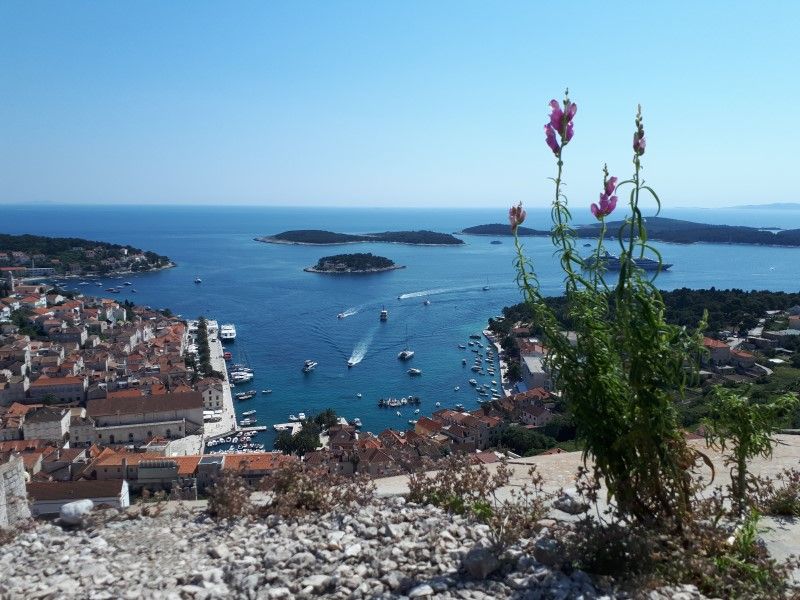 sea view from the fortless (800 x 600).jpg