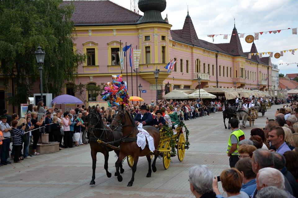 vinkovci4.jpg