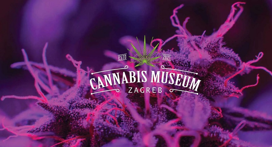 zagreb-cannabis-museum.JPG