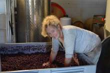 Daily Telegraph Features 1st Master of Wine Making Wine in Croatia