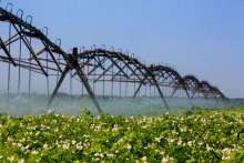 Croatian Agriculture Has Shown Resilience, Says Minister