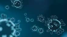 South African COVID-19 Variant in Croatia, First Two Cases Confirmed
