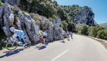 Danube Cycle Plans Aims for Development and Promotion of Cycling Tourism