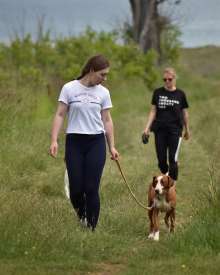 Youth for Stray Dogs Project Talks About Current Animal Rights and Welfare in Croatia