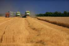 Agriculture: Why Can't Croatia Grow Enough Food For Its Own Needs?
