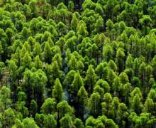 Dukat Teaches Croatian Schoolchildren About Forest Protection