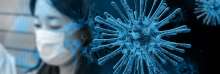 291 new coronavirus cases