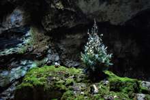 Christmas Tree Decorated in Vranjača Pit on Kamešnica (VIDEO)