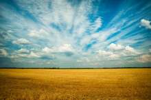 Foreigners to be Able to Buy Agricultural Land in Croatia, Talking Price