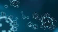 Croatia's Coronavirus Update: 508 New Cases and Seven Deaths