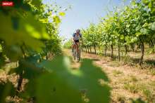 Calling All Cyclists to the Baranja Rural Trail, :BRUT 2023