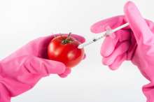 Parliament Committee Endorses Declaration on GMO-free Alps-Adriatic-Danube Region