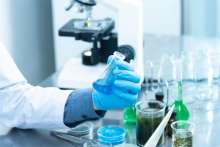 COVID-19 Testing Centres in Croatia: Official List and Prices