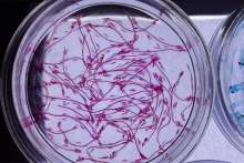 Official COVID-19 in Croatia Weekly Report September 15-21, 2020