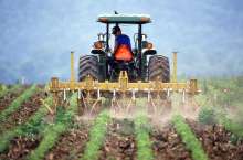 Minister Says Croatia's Agricultural Output On Rise For Five Years