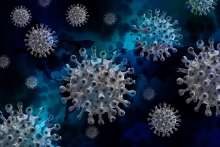 Croatia's Coronavirus Update: 432 New Cases, Eight Deaths, 276 Recoveries