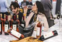 Dalmatian Wine Icons: Taste the Best Dalmatian Wines