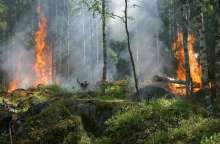 President Zoran Milanović Visits Wildfire Sites at Seget Gornji