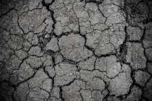 Dunja Mazzocco Drvar: Climate Change May Turn Croatia into a Desert