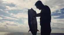 VIDEO: Skipjack Tuna Not Seen in Croatia Since 1945 Caught Near Prevlaka