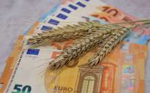 Expert Ivica Katavic Explains Why Croatian Food Prices are Extortionate