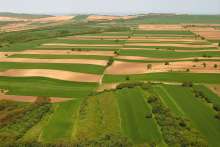Croatian Agricultural Production Grows to Almost 19 Billion Kuna