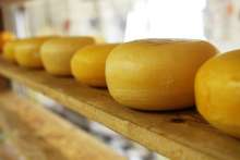 World Food Atlas Rates Two Croatian Cheeses Among Best in World!