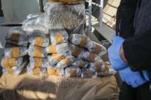 Croatian Police Burn Over 2 Tonnes of Narcotics