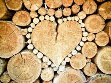 Croatian Wood Industry Grows, Investments Planned Despite Pandemic