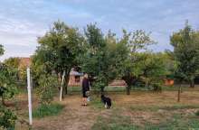 Brace Yourselves in Slavonia: Winter is Coming and Zimnica is Now