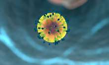 Beros: Acquiring Immunity Doesn't Mean That One is Not Infectious to Others