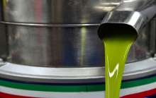 2021 Croatian Olive Harvest in Full Swing, Oil Prices Could Rise Up to 50%