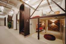 Pas Palace: Dog and Hotel Spa Opens in Zagreb