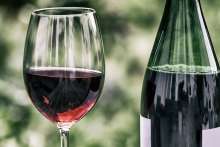 Vinistra: Germans Loving Istrian Wines Exhibited at Dusseldorf ProWein Fair